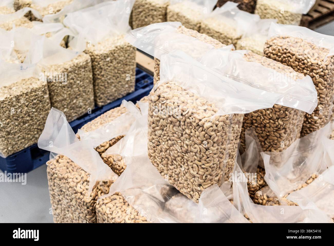 Große Kunststoff-Vakuumverpackungen mit Cashewnüssen im Exportlager Stockfoto