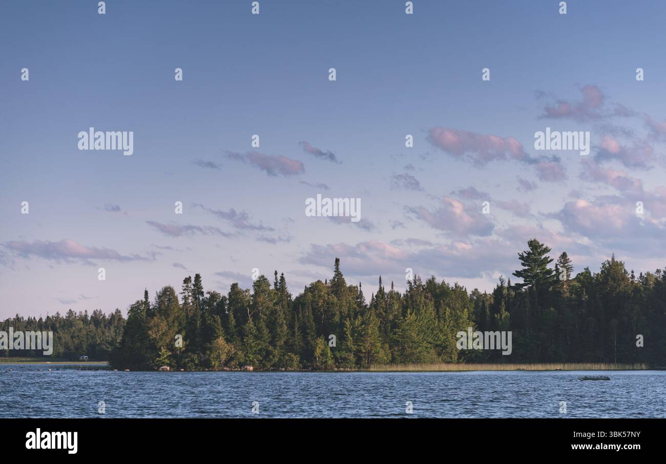 Fernblick auf eine bewaldete Küste über einen ruhigen See unter einem pastellfarbenen Abendhimmel. Nördliche Wildnisszene mit weichen Wolken und Baumkronen-Silhouette. Stockfoto