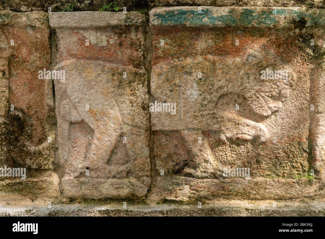 Steinstruktur des Tempels der Krieger mit jaguar geschnitzten Reliefs und detaillierten Säulen in Mexiko, Yucatan Halbinsel, Chichen Itza. Stockfoto