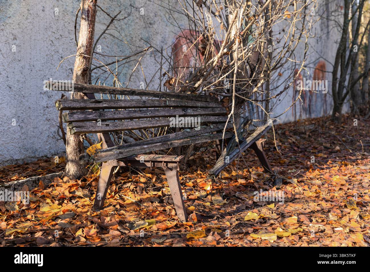 Alte zerstört Bank neben dem Pfad closeup Foto Stockfoto