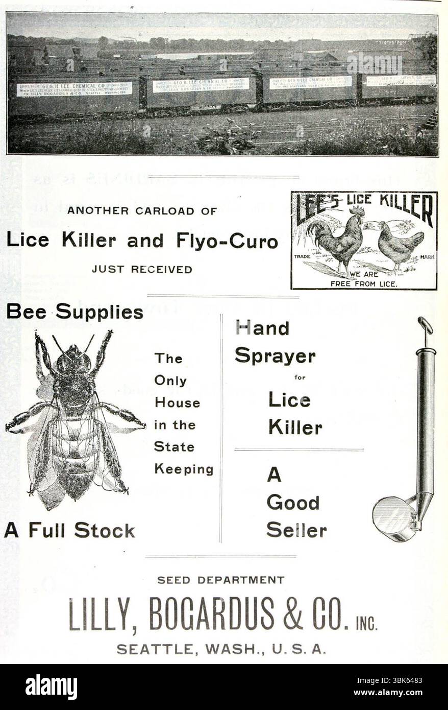 1902 Läuse Killer und Flyo-Curo, Bee liefert Anzeige Stockfoto