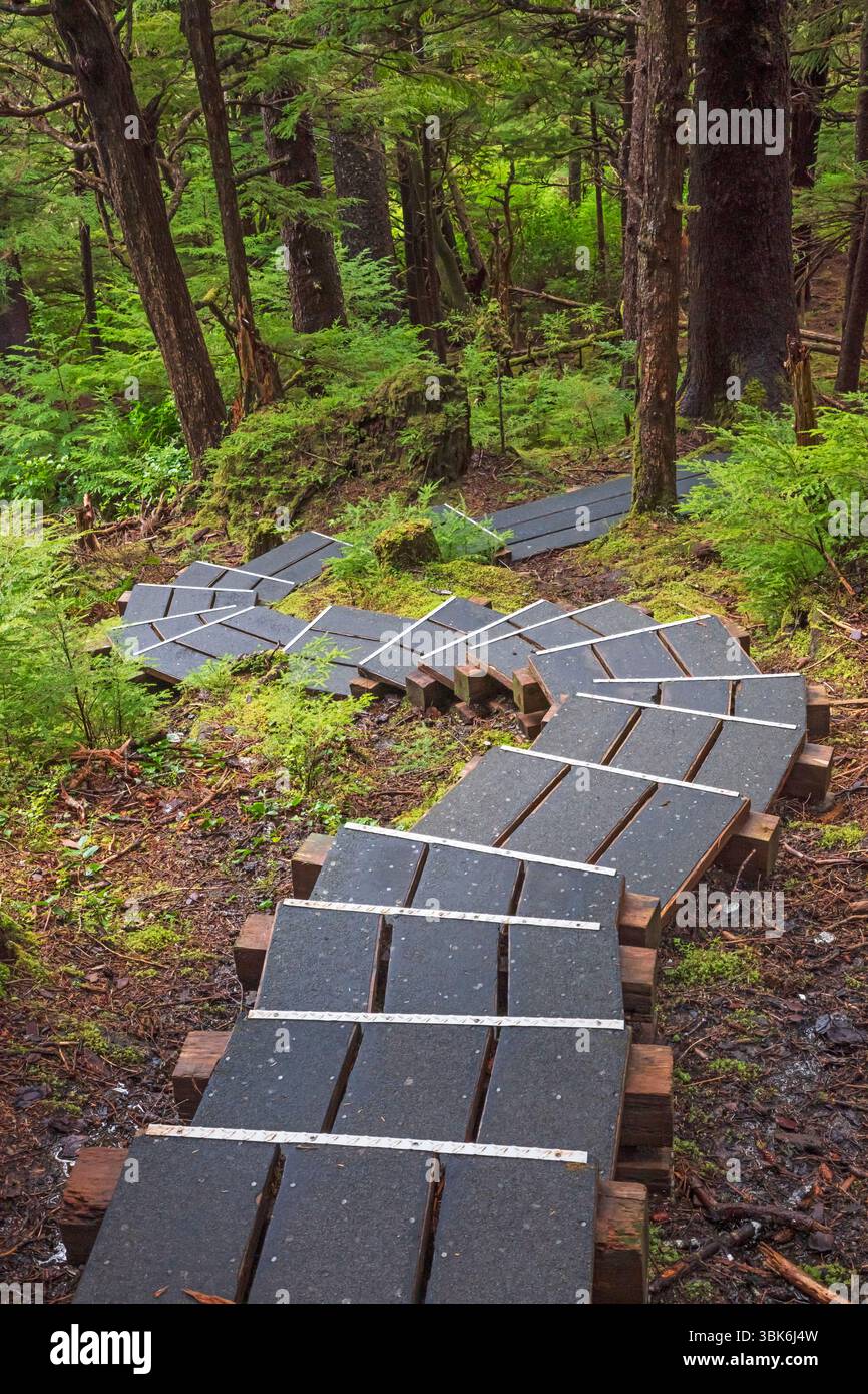 Trail zum Tow Hill im Naikon Provincial Park auf Haida Gwaiii Island - British Columbia, Kanada Stockfoto