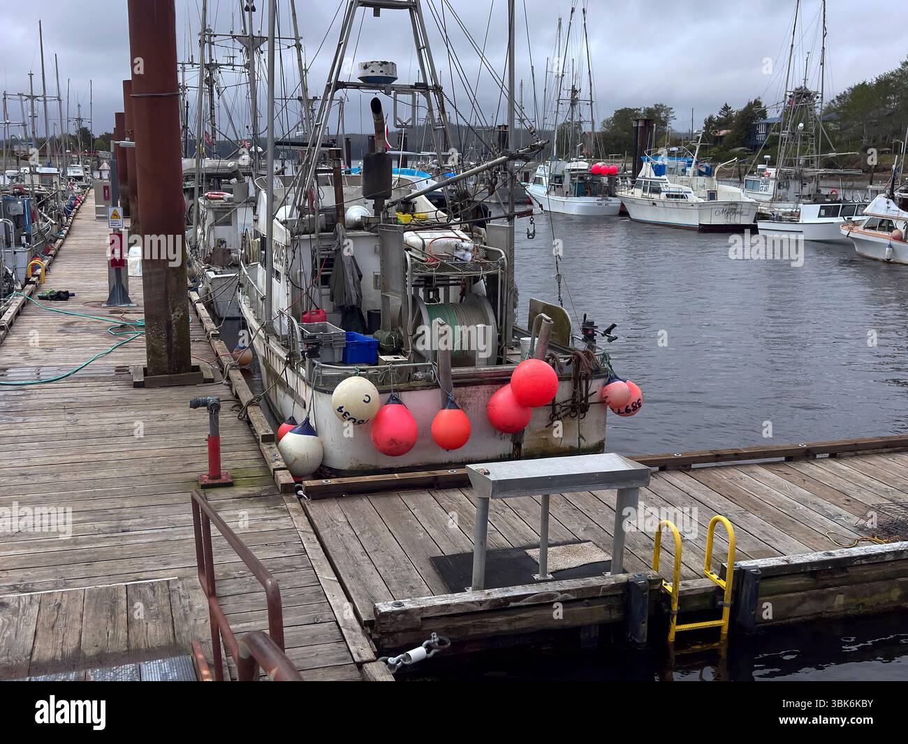 Fischerboote im Masset Harbor auf Haida Gwaii Island - British Columbia, Kanada Stockfoto