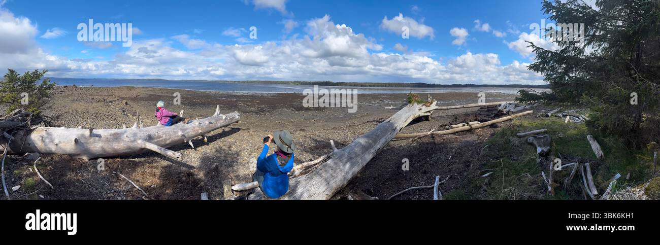 Panorama der Wanderer an der Küste von Masset Inlet in der Nähe von Port Clement auf Haida Gwaiii Island - British Columbia, Kanada Stockfoto