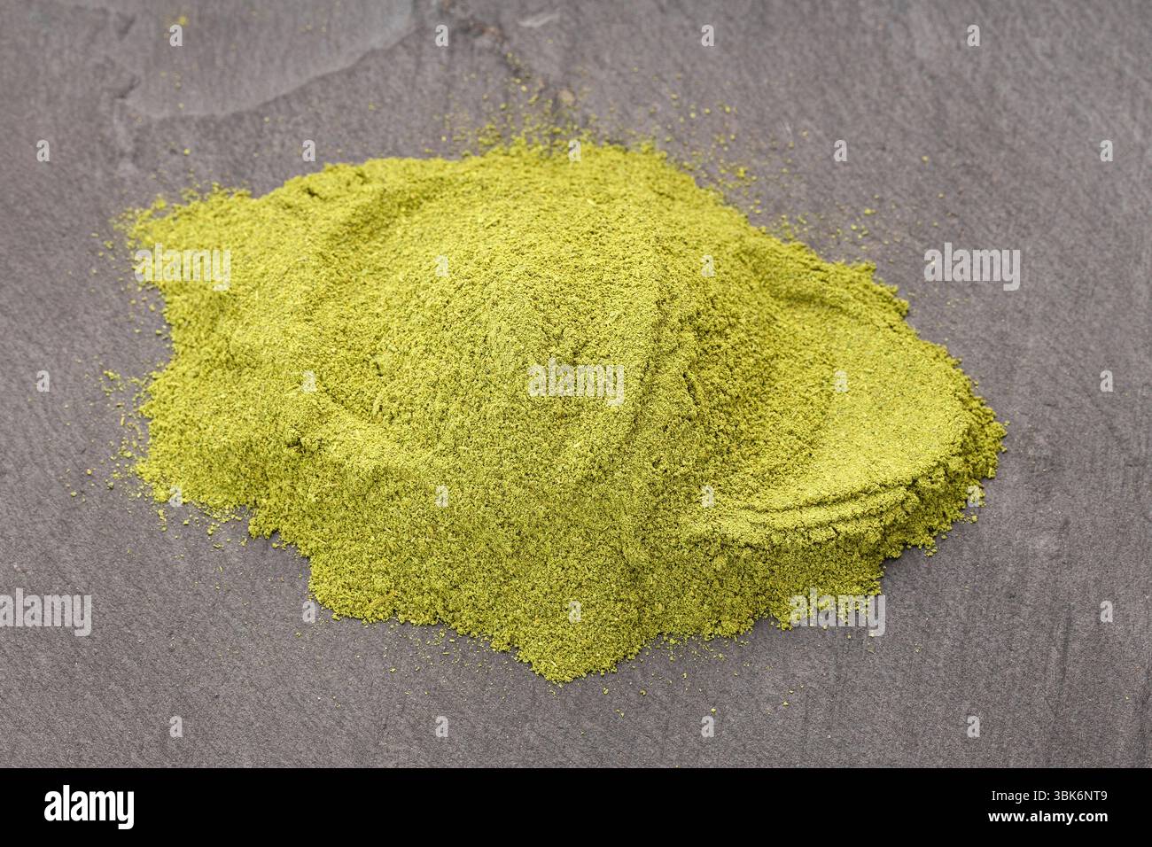Stapel von reinem getrocknetem Moringa-Pulver - Moringa oleifera Stockfoto