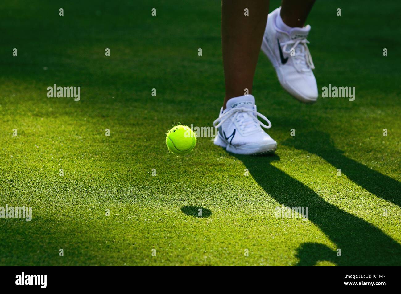 Berlin, Deutschland - 16. Juni 2025: Ballgirl holt sich den gelben Tennisball Slazenger Wimbledon 2025 beim WTA 500 Berlin Tennis Open by HYLO Turnier im Rot Weiss Tennis Club in Berlin Stockfoto