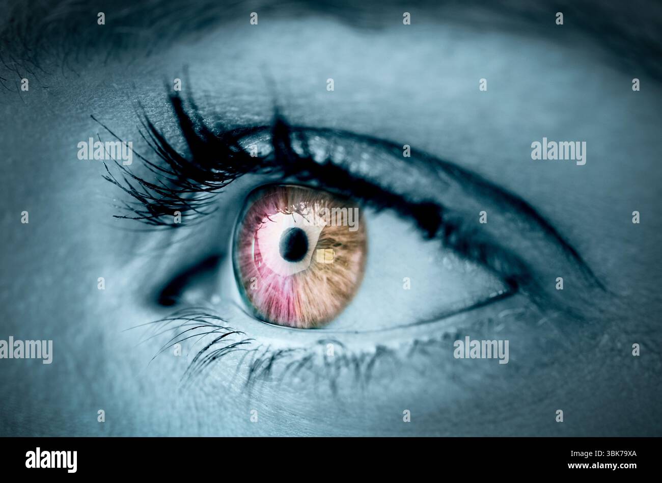 Orange und rosa Auge auf graues Gesicht Stockfoto