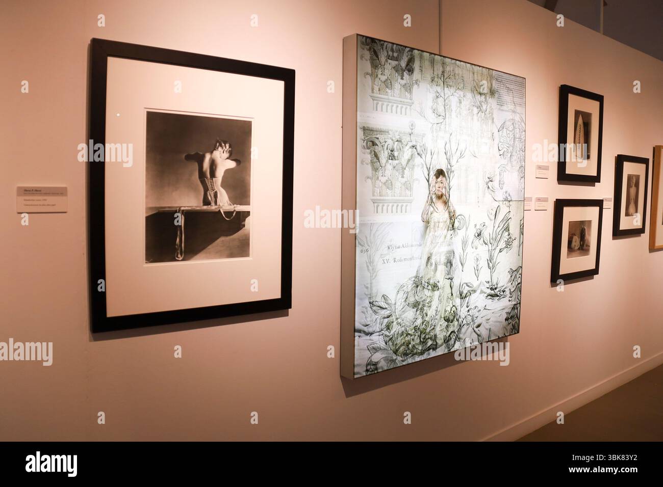 Villanueva de los Infantes, Ciudad Real, Spanien - 8. Mai 2025: Ausstellung der Kunstsammlung von Julian Castilla im Museum of Art Contemporary El Merc Stockfoto