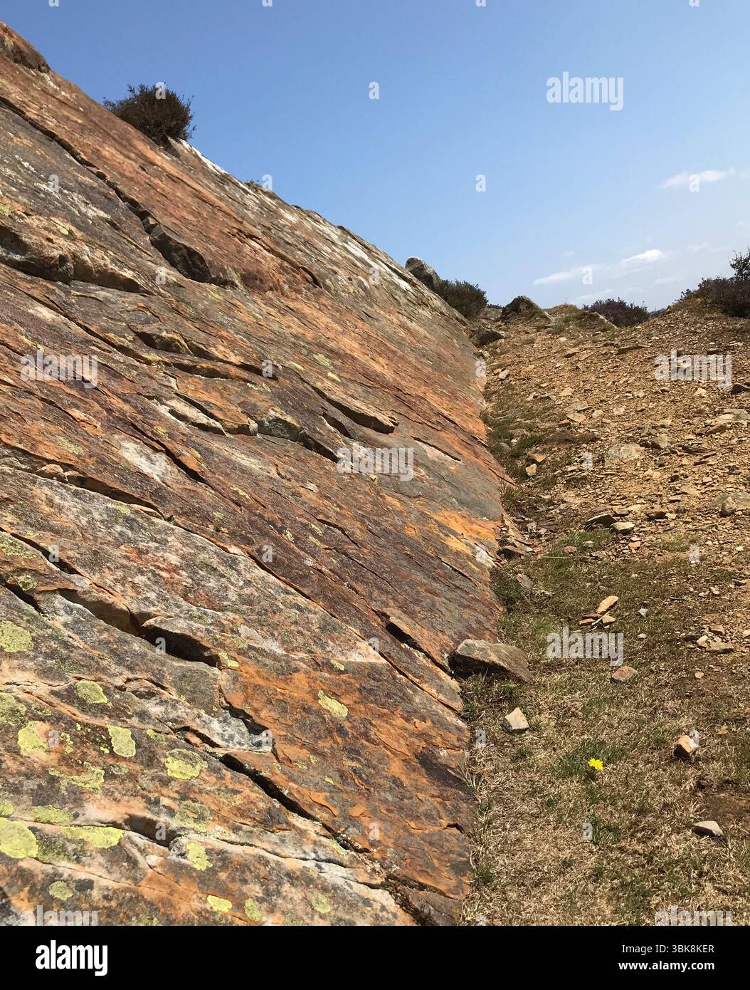 Rhyolit-Formation, Gesteine auf dem Conwy Mountain bestehen aus Rhyolith-Lava (extrudiertes Äquivalent von Granit) und Aschefluss-Formation (Conwy Rhyolit-Formation) Stockfoto
