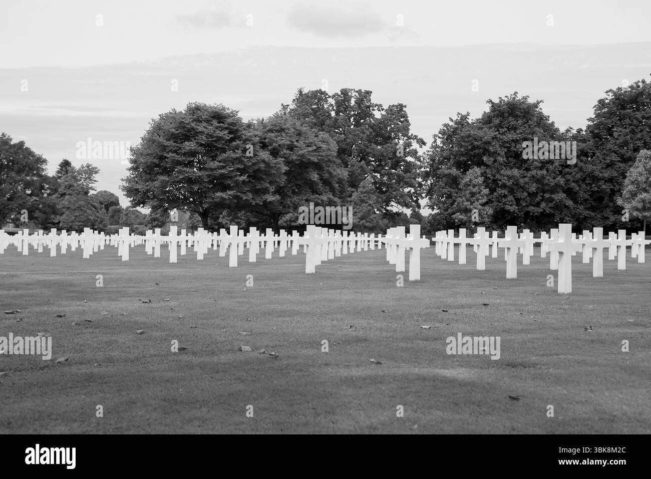 Weiße Kreuze auf einem grasbewachsenen Teppich auf dem St. James's Cemetery zu Ehren derer, die während der Landung der Normandie an der Küste Frankreichs starben. Stockfoto