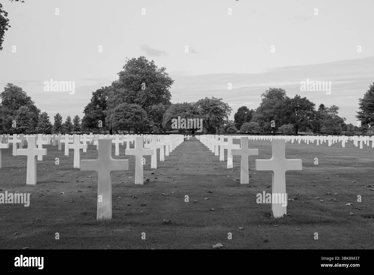 Weiße Kreuze auf einem grasbewachsenen Teppich auf dem St. James's Cemetery zu Ehren derer, die während der Landung der Normandie an der Küste Frankreichs starben. Stockfoto