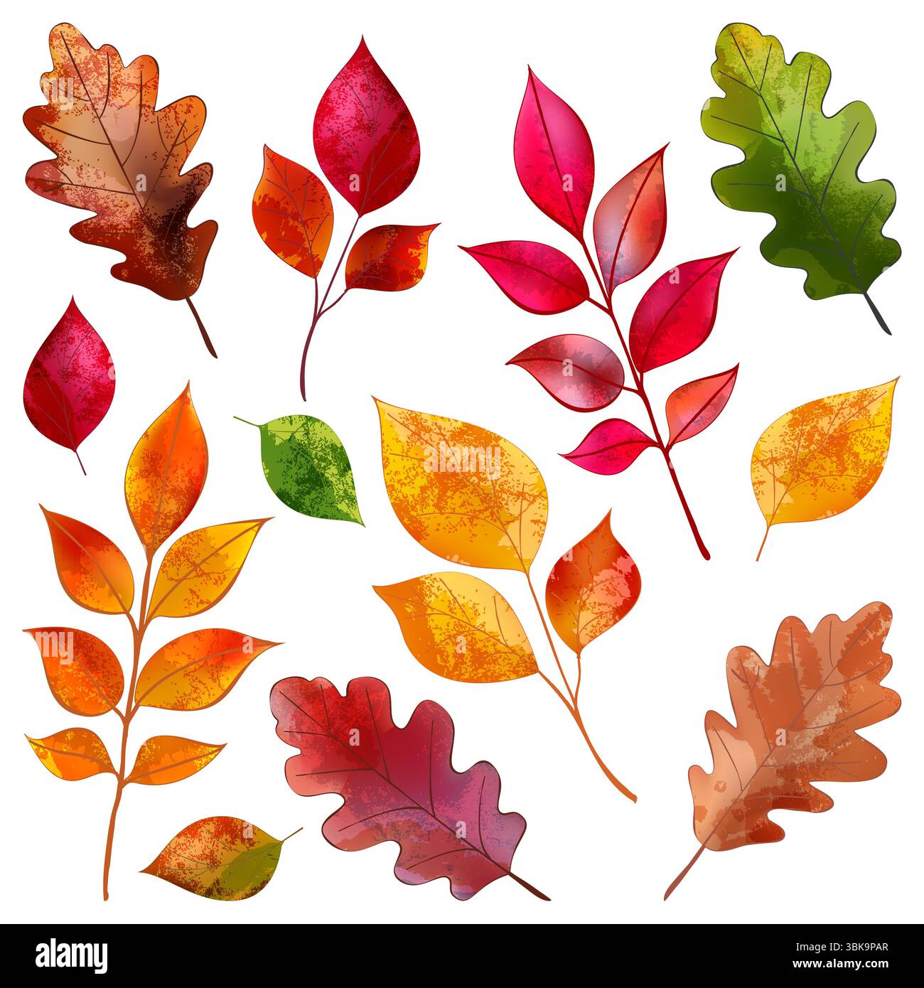 Herbstbunt Eiche, Buche, Eschenblätter gesetzt. Vektor Aquarell handgezeichnete Illustration. Blumenmuster im Herbst mit Vintage-Muster für Banner, Stock Vektor