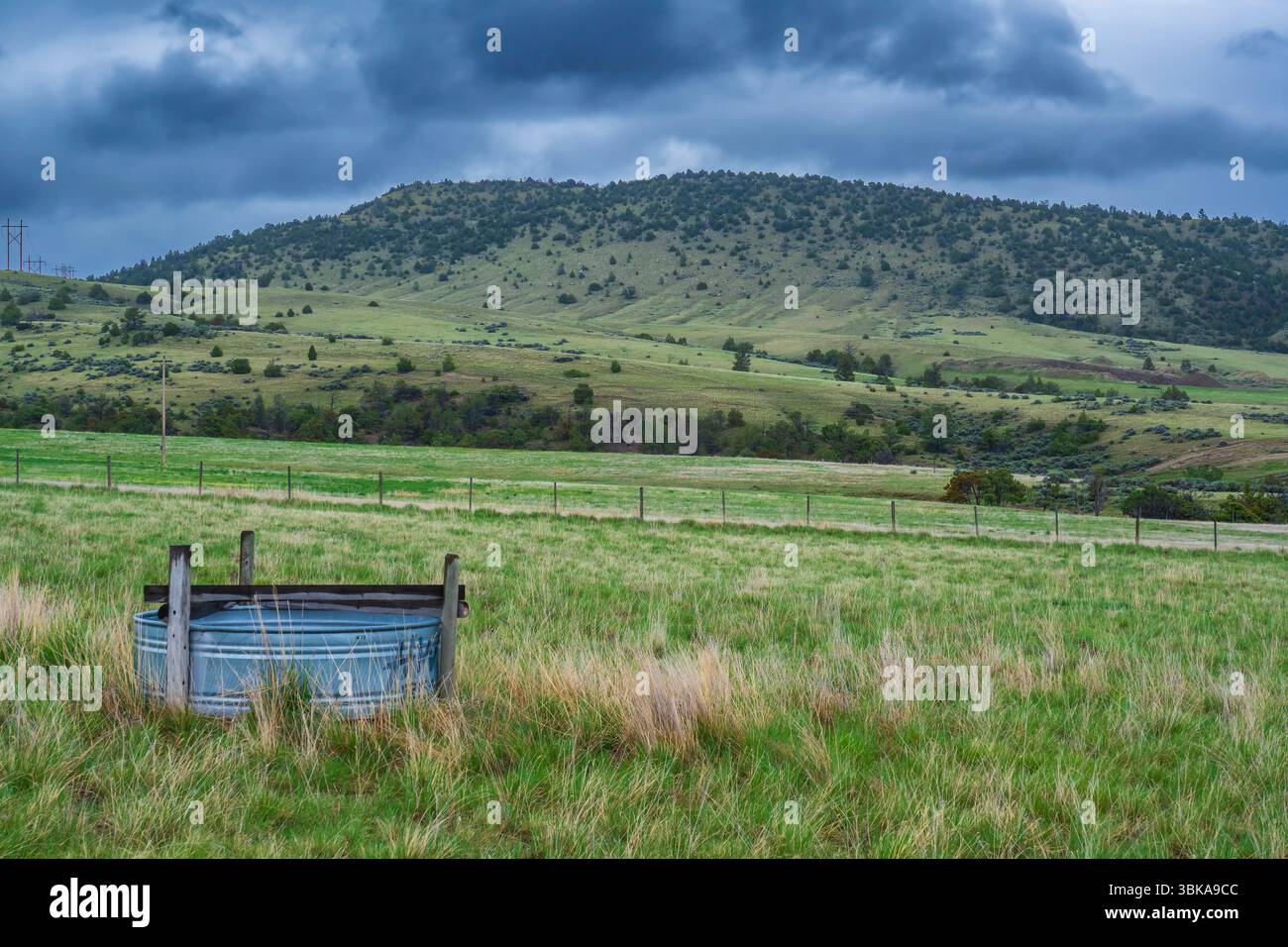 Wassertank für Rinder, Montana. Stockfoto