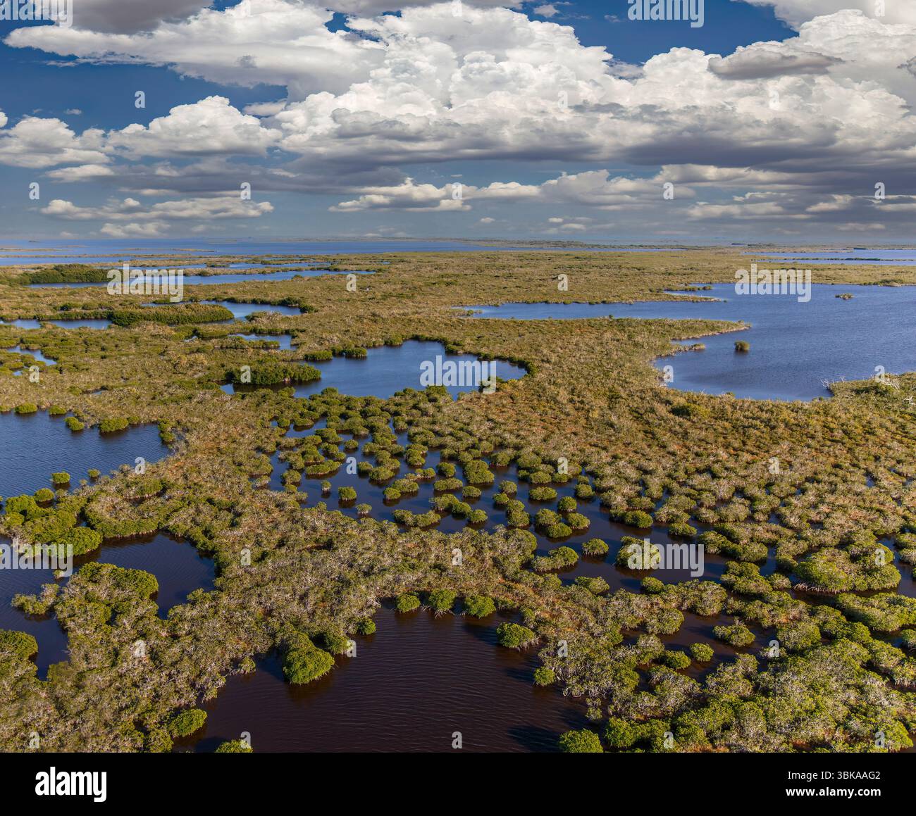 Everglades National Park, die größte subtropische Wildnis der Vereinigten Staaten Stockfoto