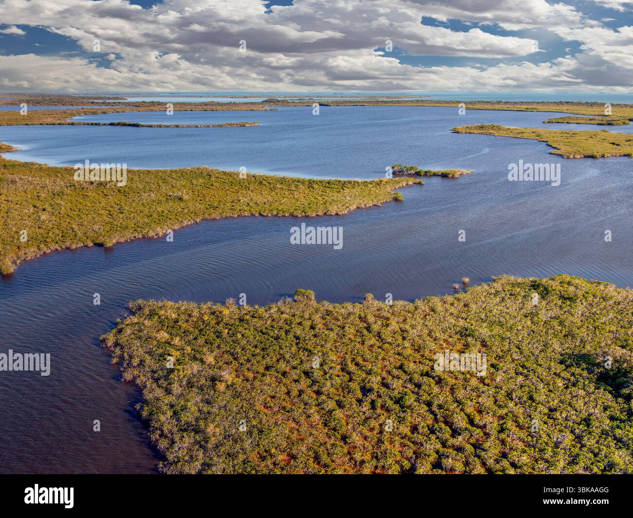 Everglades National Park, die größte subtropische Wildnis der Vereinigten Staaten Stockfoto