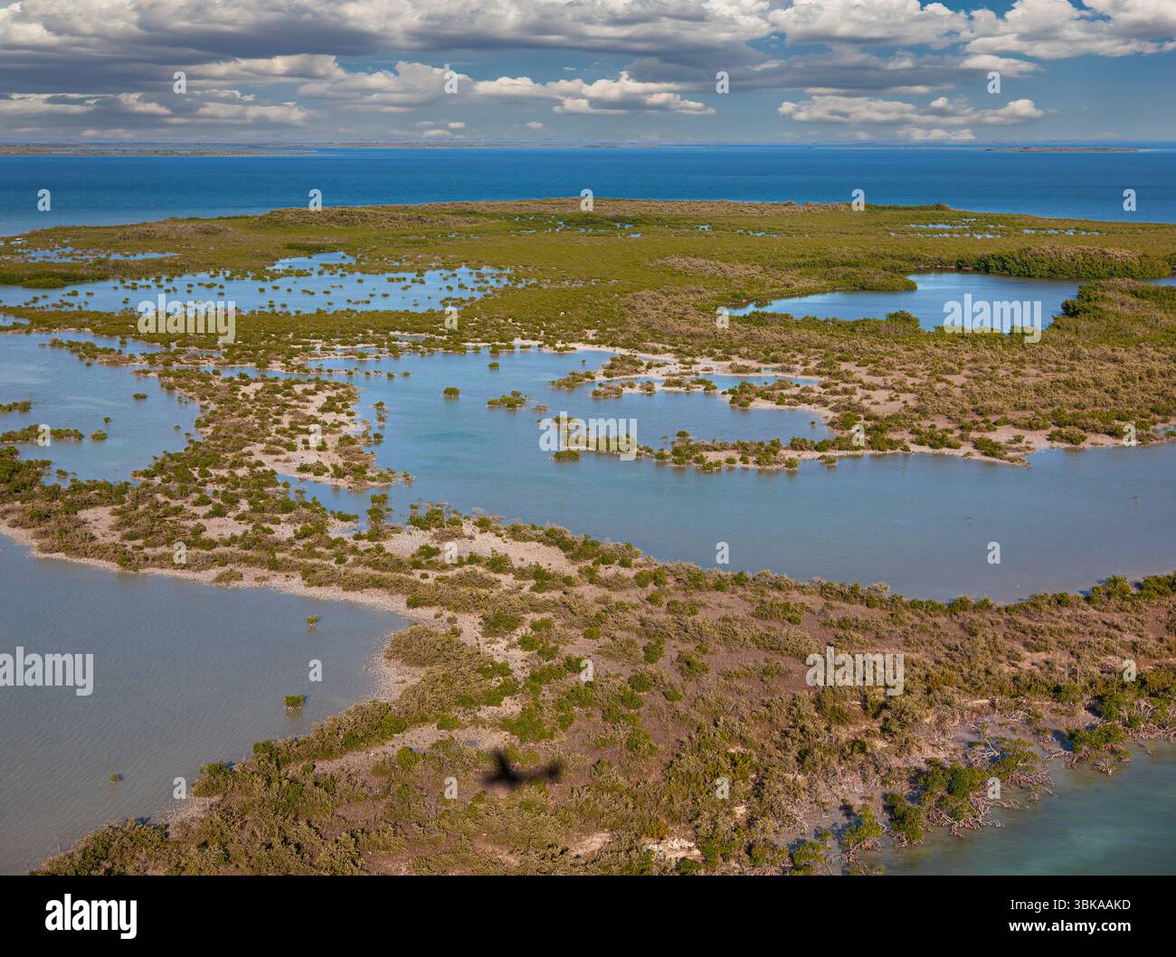 Everglades National Park, die größte subtropische Wildnis der Vereinigten Staaten Stockfoto