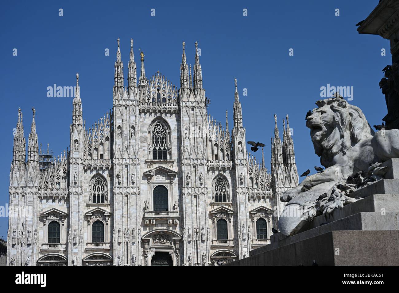 Mailand, Italien - Dom und Löwenskulptur am Fuß des Vittorio Emanuele II. Gewidmeten Denkmals Stockfoto
