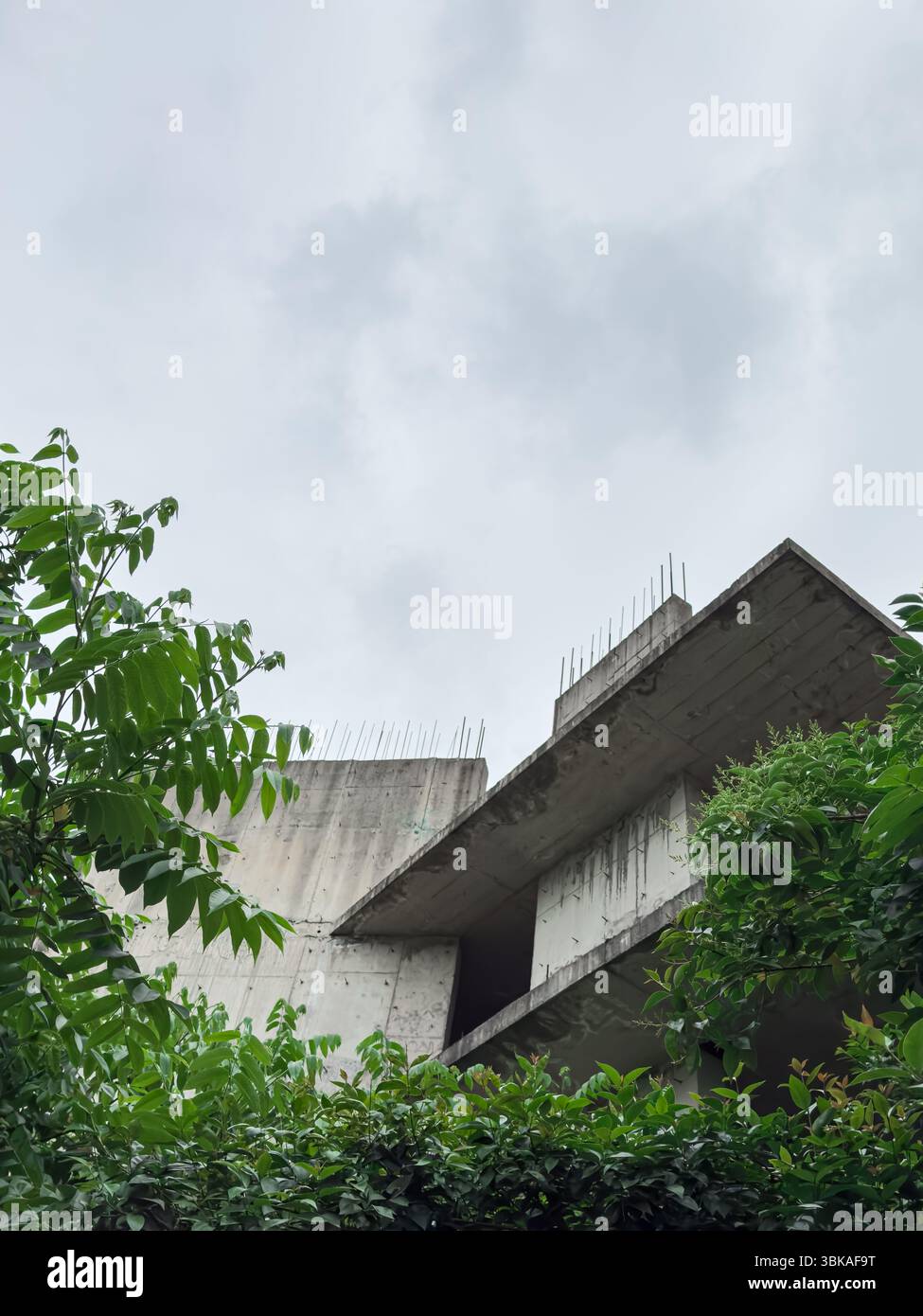 Betonskelett eines unvollendeten Gebäudes, das teilweise von üppiger Vegetation unter bedecktem Himmel bedeckt ist. Urbane Kontraste. Keine Personen. Stockfoto