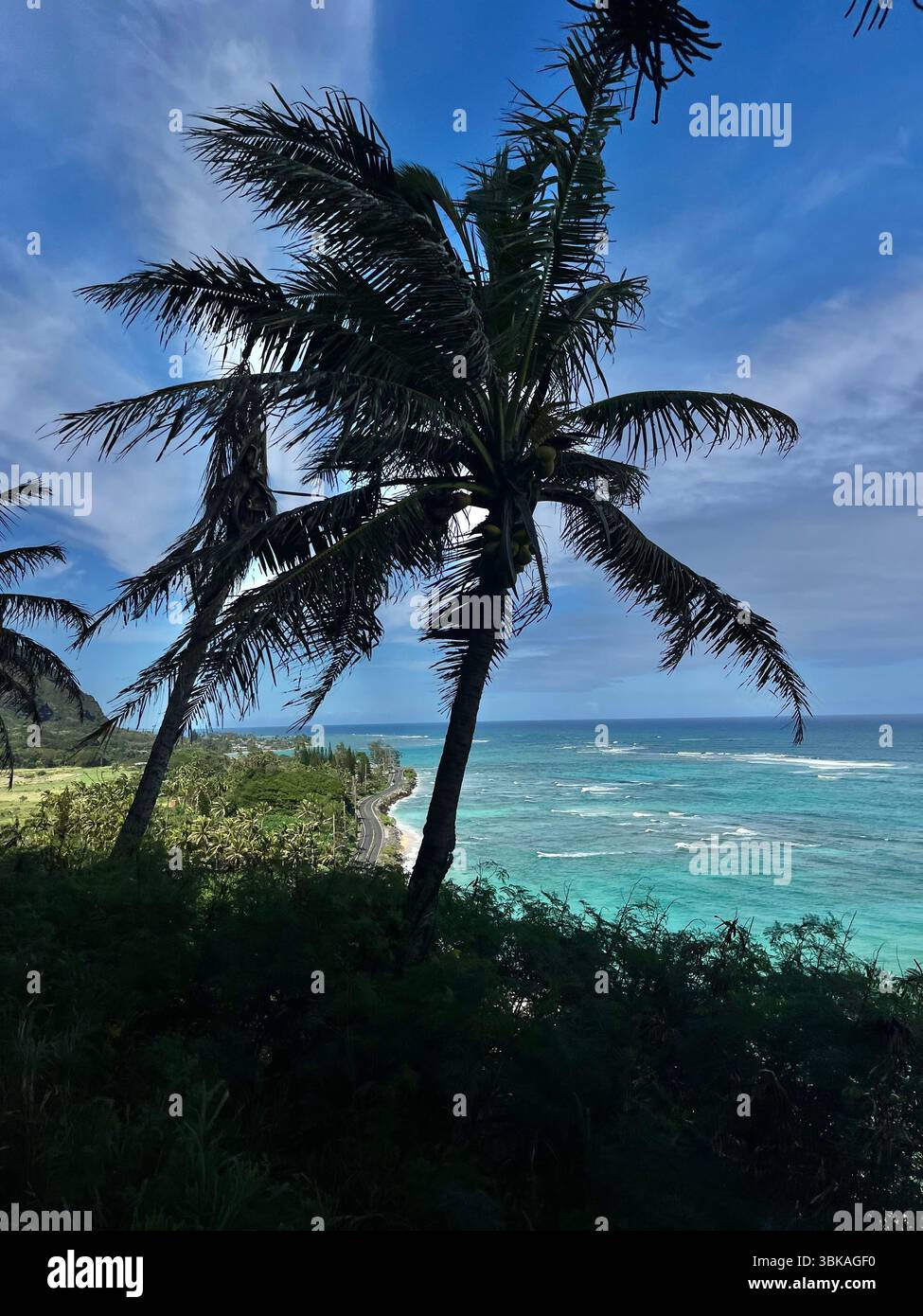 Hawai'i, Vereinigte Staaten von Amerika - 10. Februar 2025: Die beeindruckende und ästhetische Landschaft und die Aussicht von der Kualoa Ranch an einem sonnigen Tag. - Smartphone-aufgenommenes Stockfoto