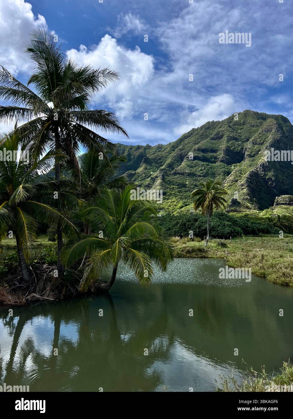 Hawai'i, Vereinigte Staaten von Amerika - 10. Februar 2025: Die beeindruckende und ästhetische Landschaft und die Aussicht von der Kualoa Ranch an einem sonnigen Tag. - Smartphone-aufgenommenes Stockfoto
