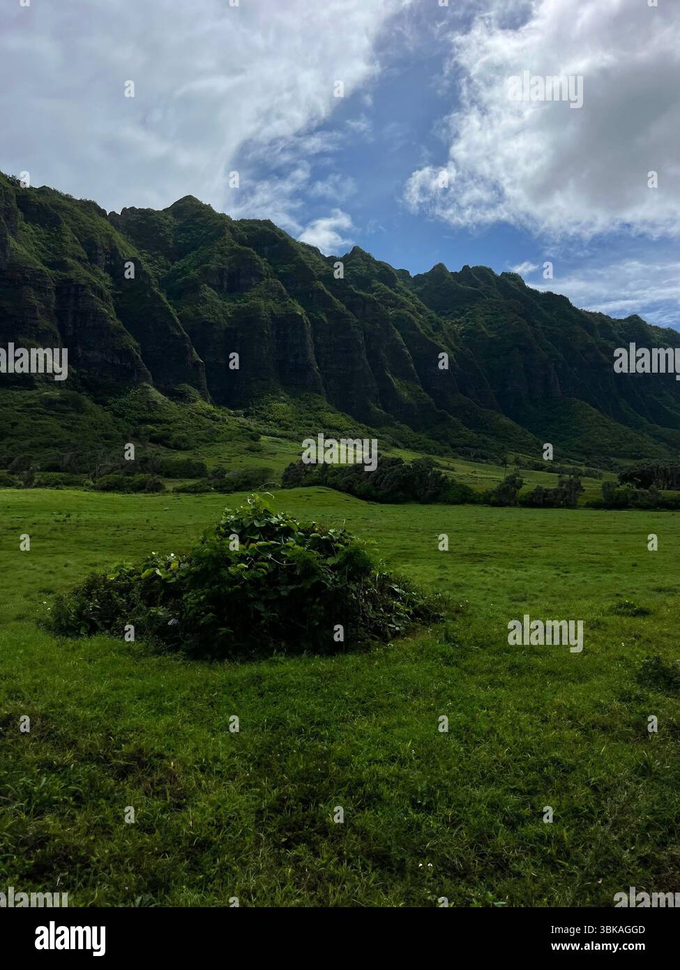 Hawai'i, Vereinigte Staaten von Amerika - 10. Februar 2025: Die beeindruckende und ästhetische Landschaft und die Aussicht von der Kualoa Ranch an einem sonnigen Tag. - Smartphone-aufgenommenes Stockfoto