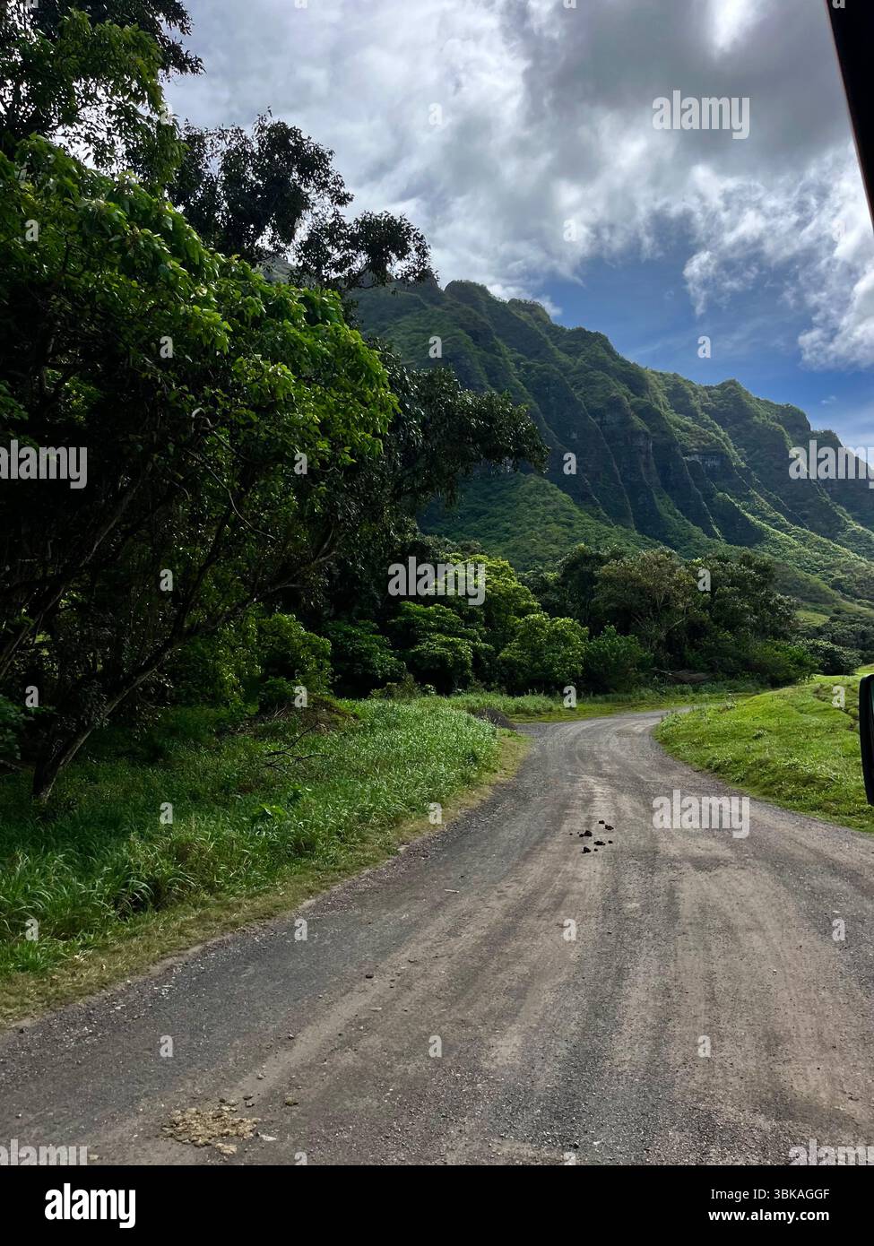 Hawai'i, Vereinigte Staaten von Amerika - 10. Februar 2025: Die beeindruckende und ästhetische Landschaft und die Aussicht von der Kualoa Ranch an einem sonnigen Tag. - Smartphone-aufgenommenes Stockfoto