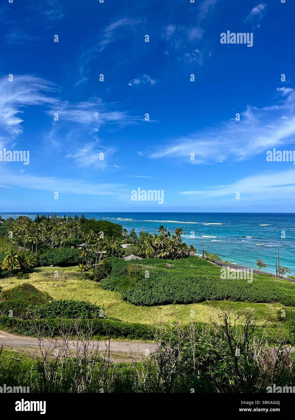 Hawai'i, Vereinigte Staaten von Amerika - 10. Februar 2025: Die beeindruckende und ästhetische Landschaft und die Aussicht von der Kualoa Ranch an einem sonnigen Tag. - Smartphone-aufgenommenes Stockfoto