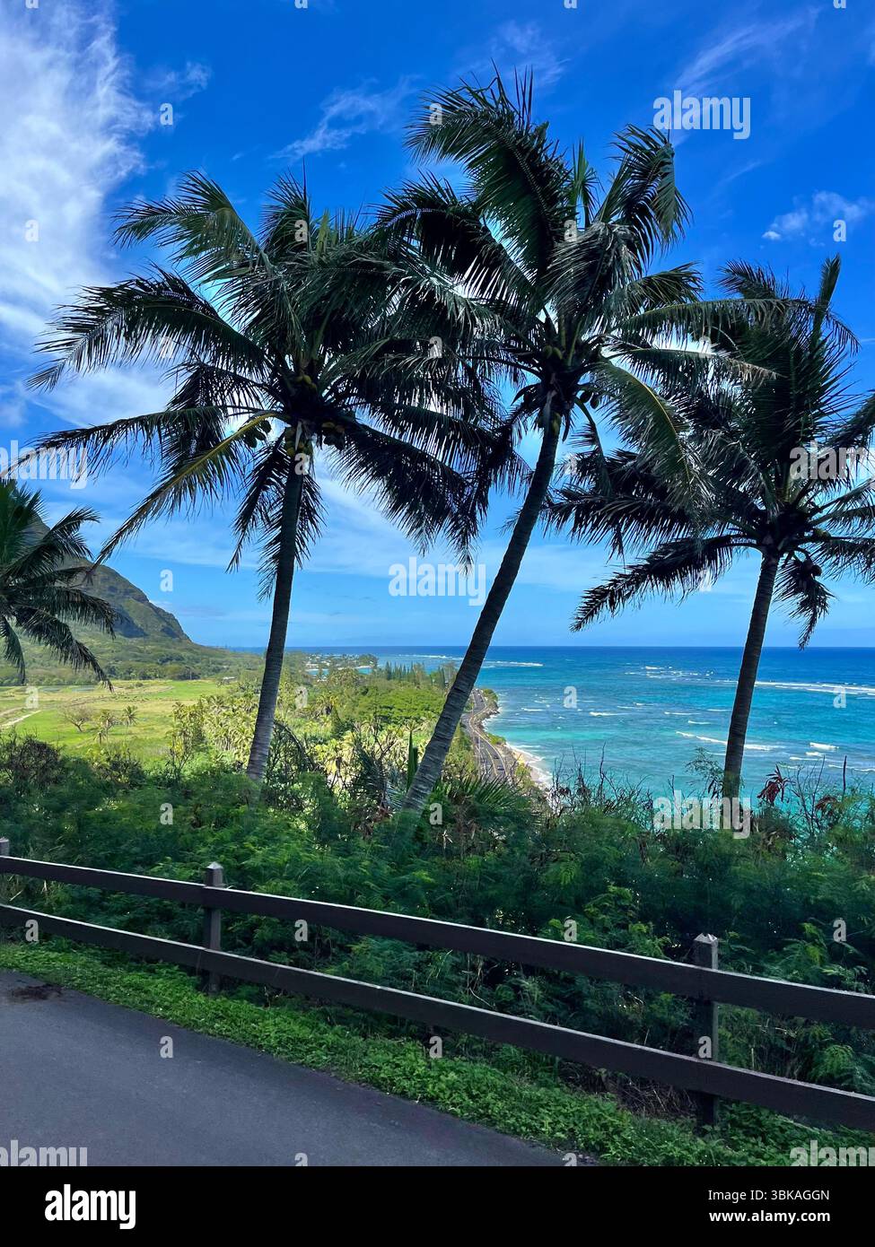 Hawai'i, Vereinigte Staaten von Amerika - 10. Februar 2025: Die beeindruckende und ästhetische Landschaft und die Aussicht von der Kualoa Ranch an einem sonnigen Tag. - Smartphone-aufgenommenes Stockfoto
