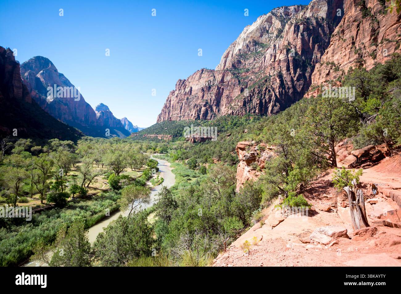 Der Virgin River entlang des Kayenta Trail im Zion National Park, Utah Stockfoto