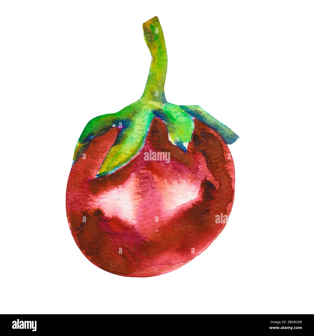 Kirschtomaten Aquarell. Rotes Gemüse. Botanische Aquarellillustration. Lebensmittelverpackung, Ernte- und vegetarische Tageskarten, Einladungen. Stockfoto