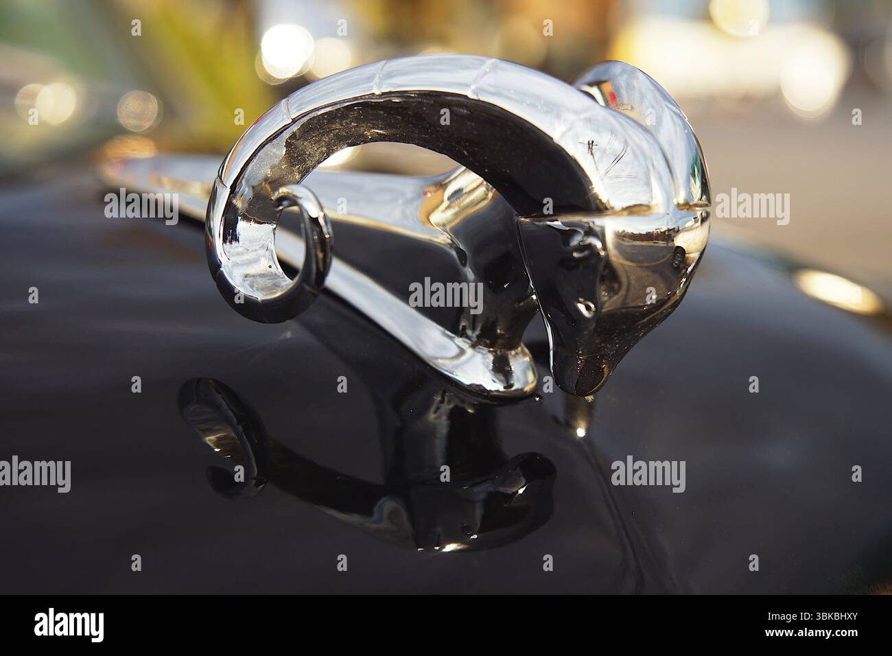 Maßgeschneidertes verchromtes Dodge RAM-Kapuzendesign auf der örtlichen Autoshow in Victoria, Vancouver Island, British Columbia, Kanada Stockfoto