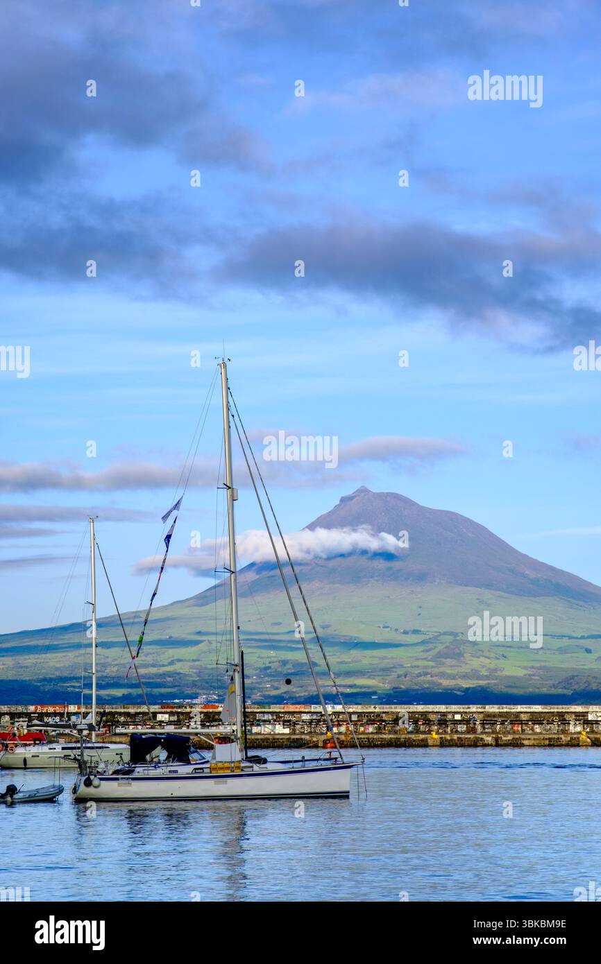 Segelboot am Yachthafen von Horta mit dem Berg Pico im Hintergrund, Insel Faial, Azoren Archipel, Portugal Stockfoto