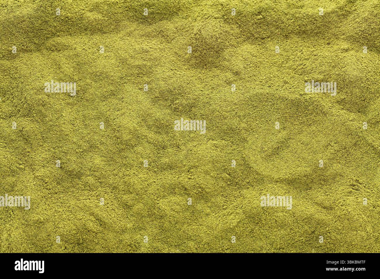 Organisches grünes Moringa-Pulver im Hintergrund - Moringa oleifera Stockfoto