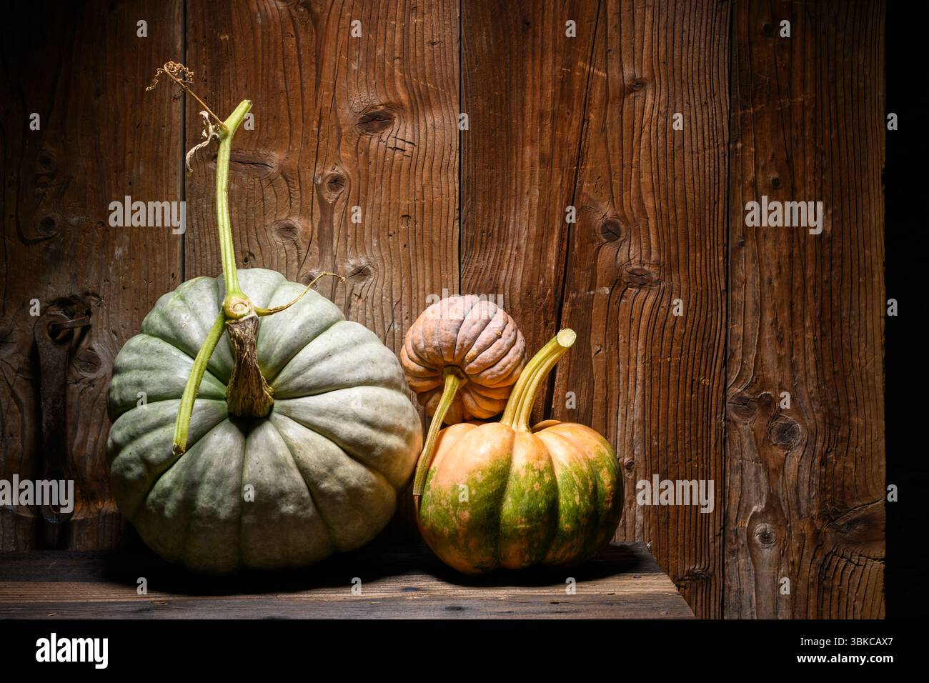 Verschiedene Kürbisse auf einem alten Holztisch im rustikalen Herbststil für saisonale Einrichtung. Herbsternteanzeige perfekt für Thanksgiving oder Halloween Hintergrund Stockfoto