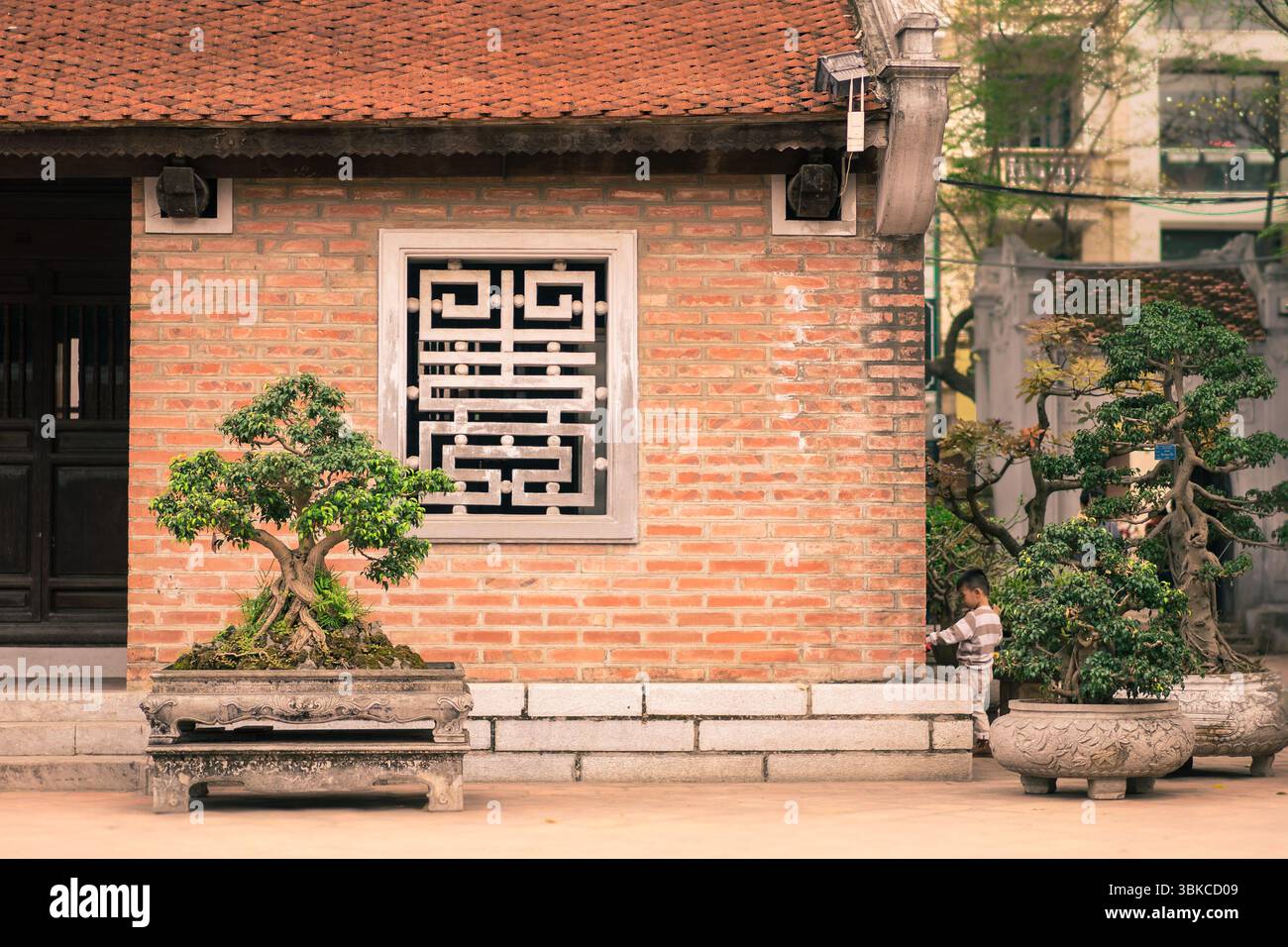 Bonsai-Baum vor dem geschnitzten Steinfenster am Tempel der Literatur, hanoi Stockfoto