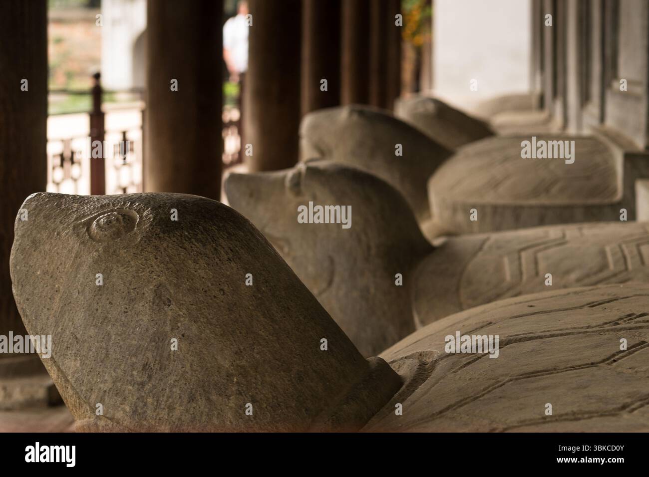 Steinstelen auf Schildkröten, Tempel der Literatur, Van Mieu, Hanoi Stockfoto