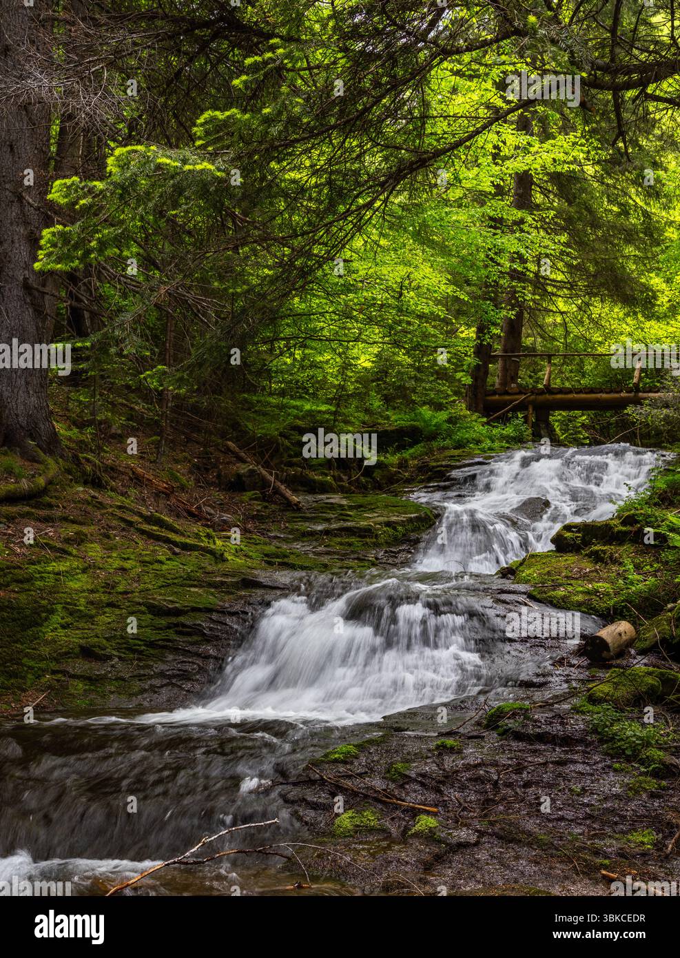 Wunderschöner Wasserfall vom Canyon der Wasserfälle Öko Pfad in Smolyan, Bulgarien Stockfoto
