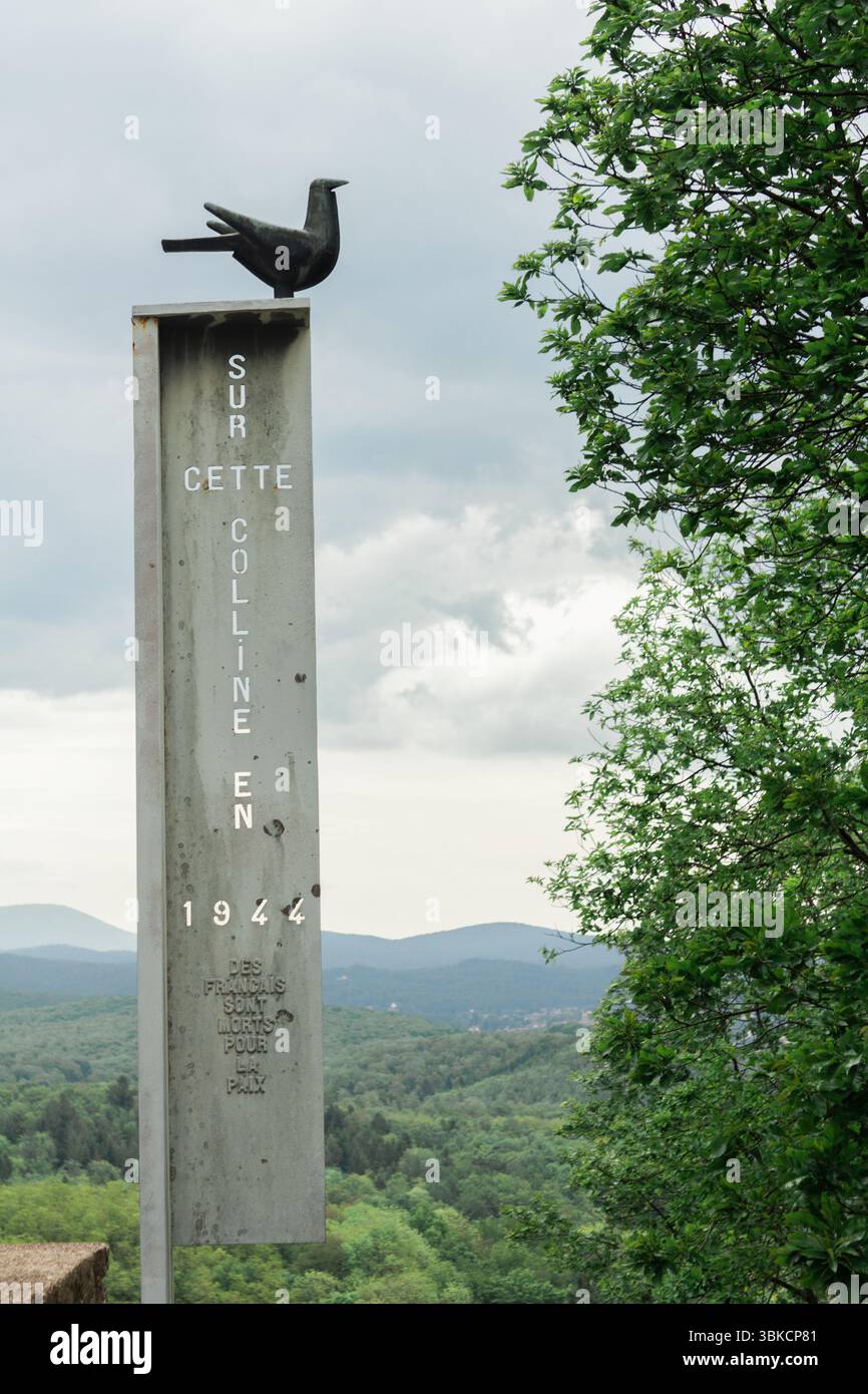 Kriegsdenkmal-Säule mit Vogelskulptur und französischer Inschrift Stockfoto