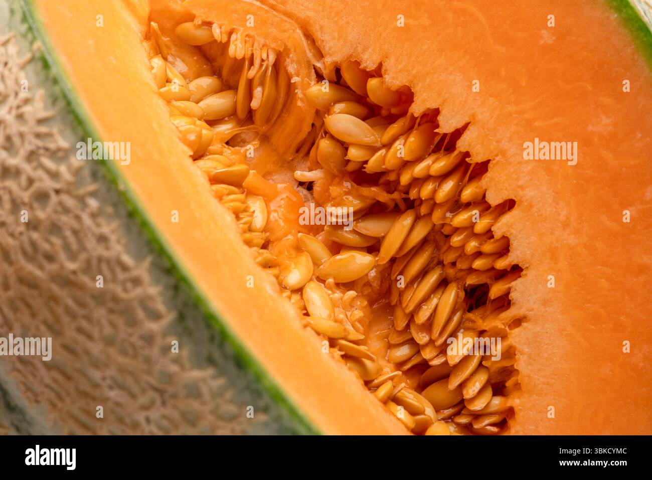 Reifer Schnitt von Melone, Fleisch und Samen aus der Nähe. Stockfoto