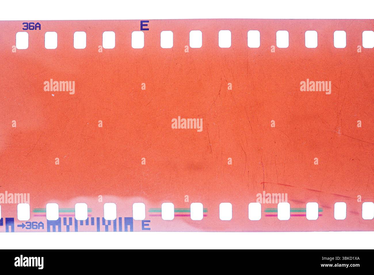 Staubige und schmutzige 35-mm-Filmtextur oder -Oberfläche. Perforierter, zerkratzter Kamerafilm isoliert auf weißem Hintergrund. Stockfoto
