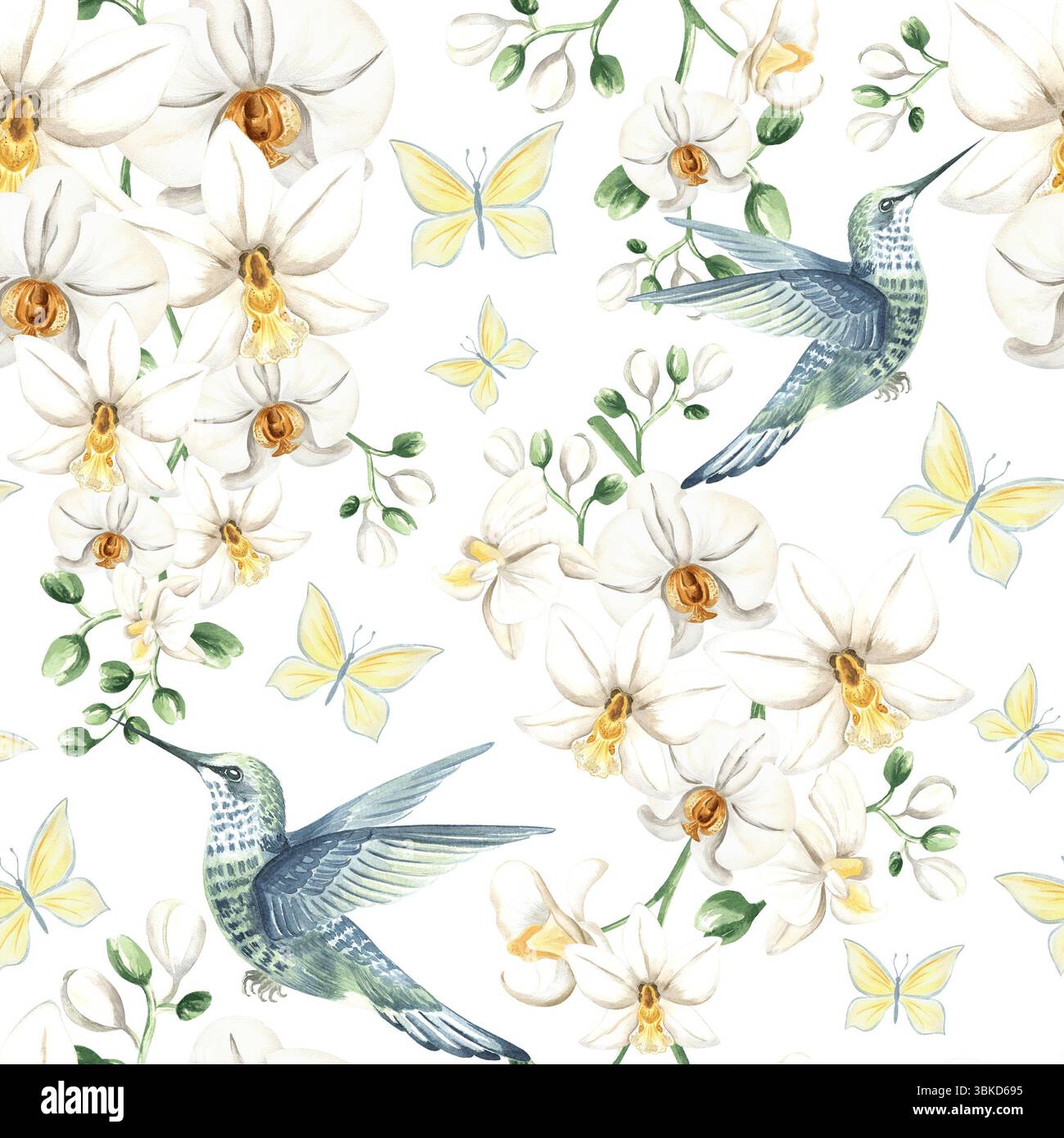 Fliegender Kolibri mit weißen Orchideenblüten und Schmetterlingen Aquarellillustration. Handgezeichnetes nahtloses Muster mit tropischer phalaenopsis und Vogel Stockfoto