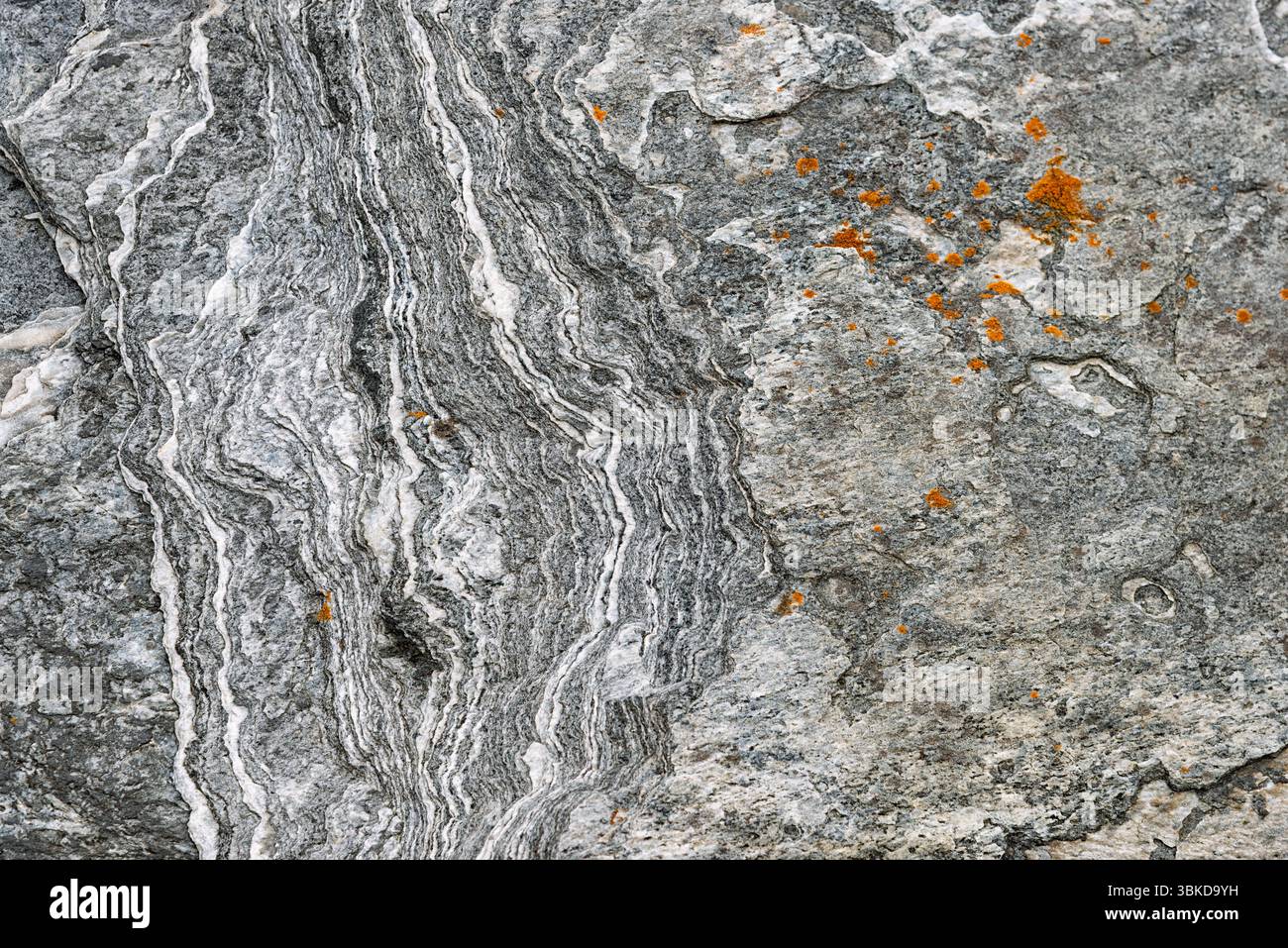 Nahaufnahme des Sedimentfelsens mit komplexen grauen Mustern und leuchtenden orangefarbenen Flechten, die die Kunstfertigkeit der Natur hervorheben. Stockfoto