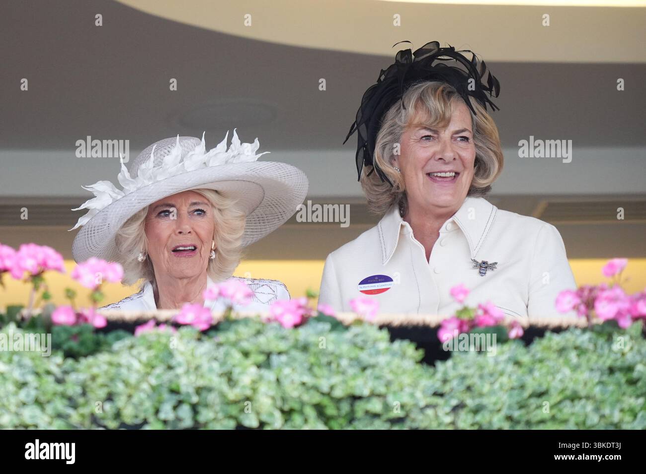 Königin Camilla (links) und Fiona Mary Petty-Fitzmaurice, Marchonin von Lansdowne, am vierten Tag von Royal Ascot auf der Ascot Racecourse, Berkshire. Bilddatum: Freitag, 20. Juni 2025. Stockfoto