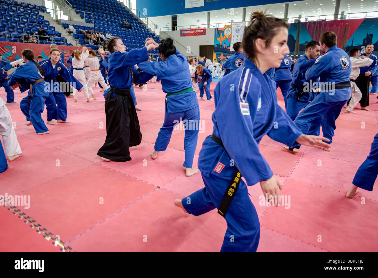 Zrenjanin, Vojvodina, Serbien - 27. April 2025: Seminar des echten Aikido im Kampfsportverein 'Real Aikido Zrenjanin 1995', Schüler lernen sich selbst. Stockfoto