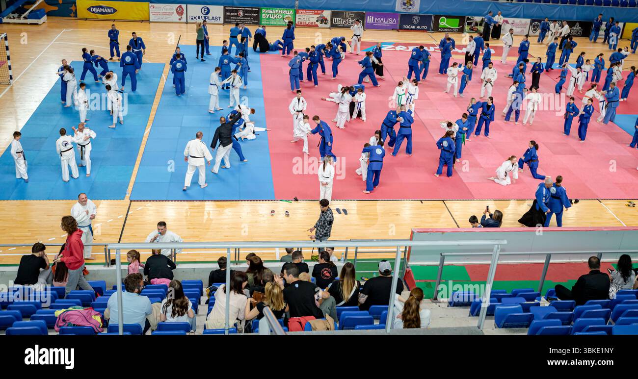 Zrenjanin, Vojvodina, Serbien - 27. April 2025: Seminar des echten Aikido im Kampfsportverein 'Real Aikido Zrenjanin 1995', Schüler lernen sich selbst. Stockfoto