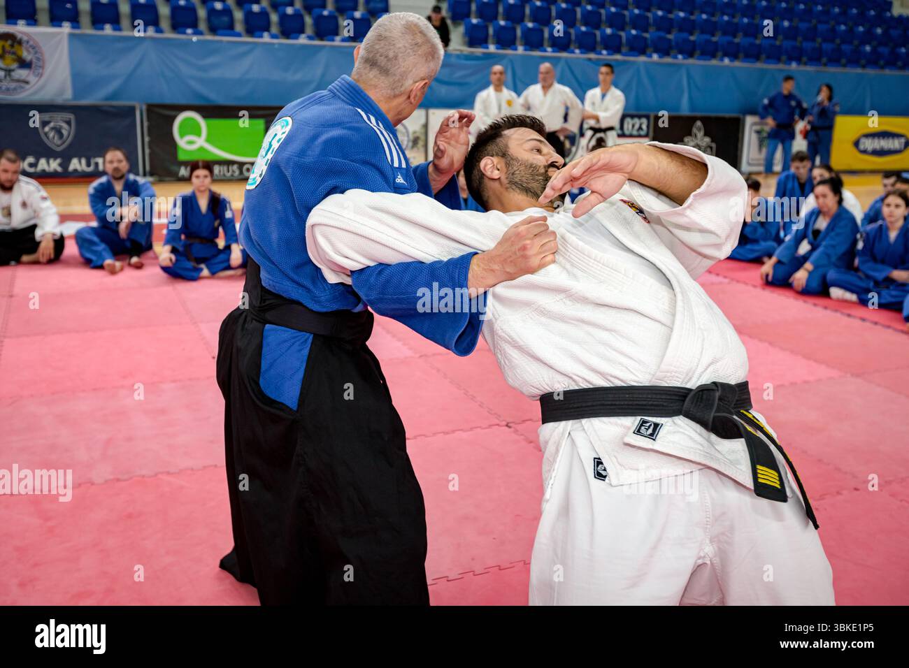 Zrenjanin, Vojvodina, Serbien - 27. April 2025: Seminar des echten Aikido-Clubs der Kampfkunst 'Real Aikido Zrenjanin 1995', Lehrer, Meister, Sensei-Show, Stockfoto