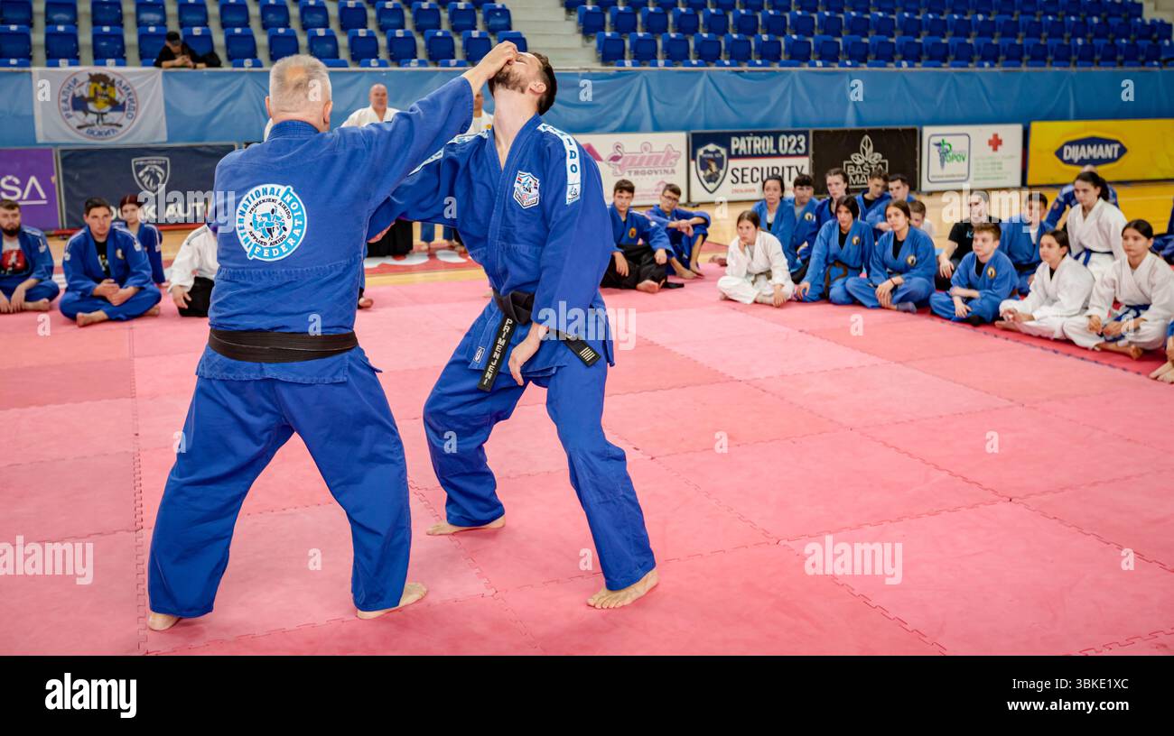 Zrenjanin, Vojvodina, Serbien - 27. April 2025: Seminar des echten Aikido-Clubs der Kampfkunst 'Real Aikido Zrenjanin 1995', Lehrer, Meister, Sensei-Show, Stockfoto
