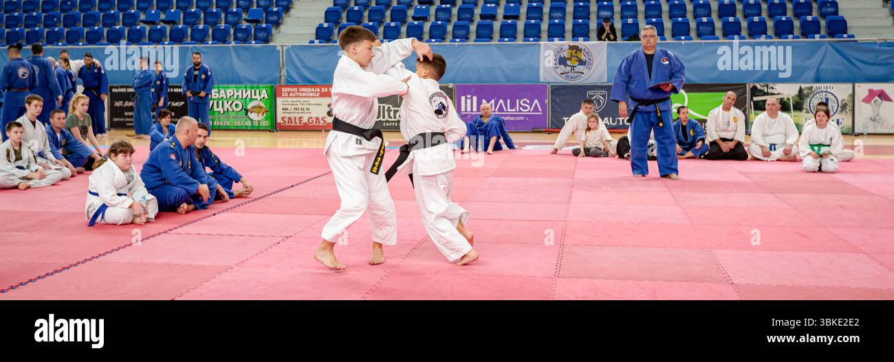 Zrenjanin, Vojvodina, Serbien - 27. April 2025: Seminar des echten Aikido im Kampfsportverein 'Real Aikido Zrenjanin 1995', Studenten werden demonstriert l Stockfoto