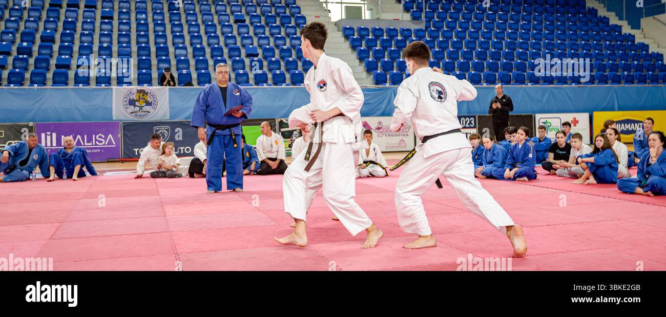Zrenjanin, Vojvodina, Serbien - 27. April 2025: Seminar des echten Aikido im Kampfsportverein 'Real Aikido Zrenjanin 1995', Studenten werden demonstriert l Stockfoto