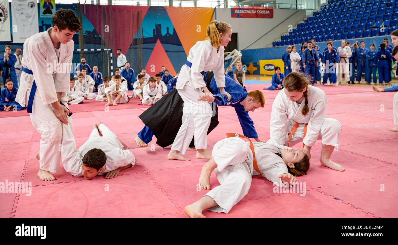 Zrenjanin, Vojvodina, Serbien - 27. April 2025: Seminar des echten Aikido im Kampfsportverein 'Real Aikido Zrenjanin 1995', Studenten werden demonstriert l Stockfoto